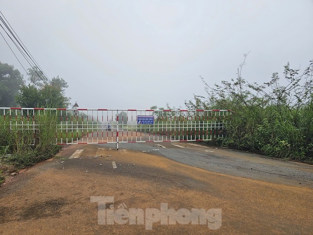 Đường tiền tỷ bỏ hoang gây lãng phí ở phố thị hoa vàng ảnh 3