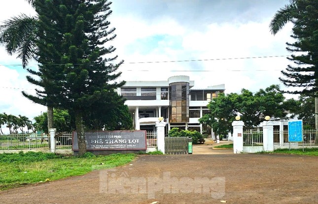 Đề nghị thu hồi 616,4ha đất trồng cà phê liên kết tại Đắk Lắk ảnh 2
