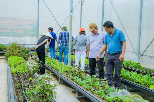 Farmstay gần 22ha ở Đắk Nông đang hoạt động bỗng dưng bị ‘khai tử’ ảnh 1