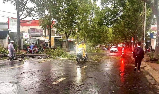 Mưa dông mạnh bất thường ở Đắk Nông ảnh 2