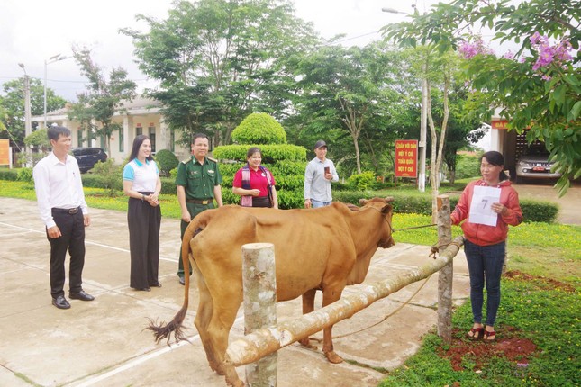 Tặng 10.000 cây giống và trao bò sinh sản cho bà con vùng biên Đắk Nông ảnh 3