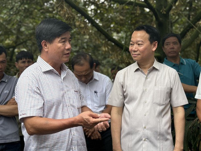 Bộ trưởng Nông nghiệp và Môi trường thị sát ‘điểm nóng’ sầu riêng Đắk Lắk ảnh 2