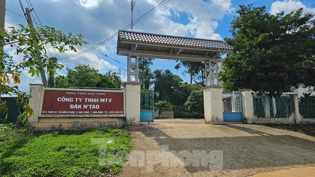 Đi tuần tra rừng, Phó giám đốc công ty lâm nghiệp ở Đắk Nông bị đánh gãy xương sườn ảnh 1