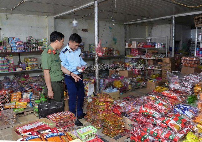 Khánh Hòa tiêu hủy 850.000 con tôm hùm giống nhập lậu, trị giá 34 tỷ đồng ảnh 2