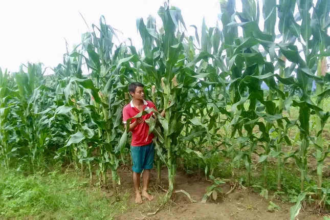 Vươn lên làm giàu trên vùng đất khắc nghiệt bằng sự cần cù và linh hoạt ảnh 3