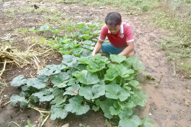 Vươn lên làm giàu trên vùng đất khắc nghiệt bằng sự cần cù và linh hoạt ảnh 2