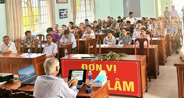 'Vua trái cây' rớt giá thảm: Đằng sau việc nhà nhà, người người trồng sầu riêng ảnh 3