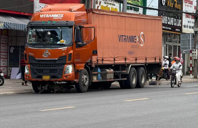 Tạm giữ tài xế vụ xe tải trôi cán chết người chờ đèn đỏ ảnh 1