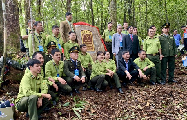 Công nhận 108 ‘hóa thạch sống’ ở Lâm Đồng là cây di sản Việt Nam ảnh 2