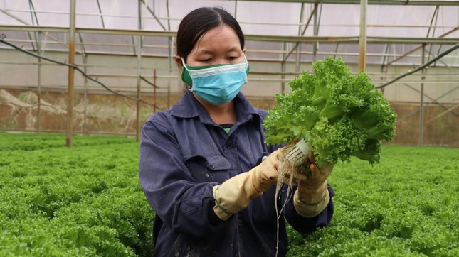 Sáp nhập 3 tỉnh Lâm Đồng - Bình Thuận - Đắk Nông là cơ hội vàng ảnh 2