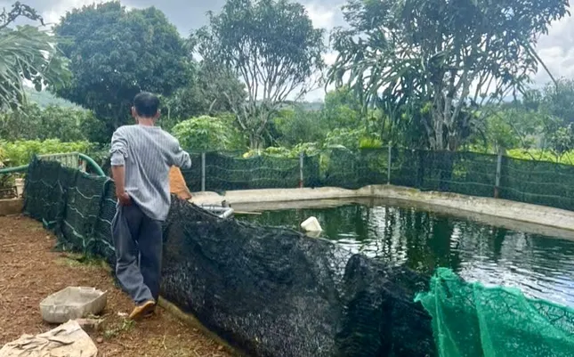 Hai cháu nhỏ ở Lâm Đồng đuối nước tử vong ảnh 2