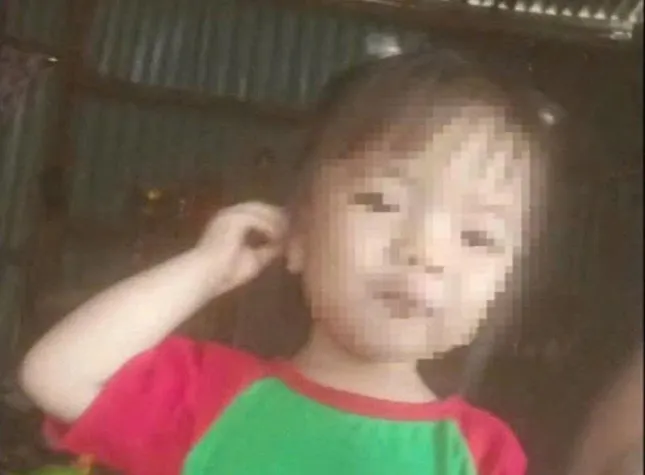 Vụ bé gái 2 tuổi mất tích bí ẩn ở Lâm Đồng: Huy động gần 100 người tìm kiếm ảnh 2