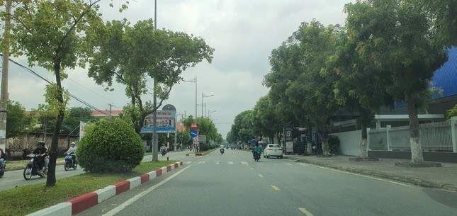 Bộ Công an yêu cầu Bạc Liêu nêu rõ lý do chưa cung cấp đầy đủ hồ sơ dự án cây xanh ảnh 1