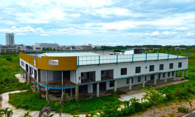 Thu hồi 2ha &apos;đất vàng&apos; bỏ hoang nhiều năm ở Cà Mau ảnh 1