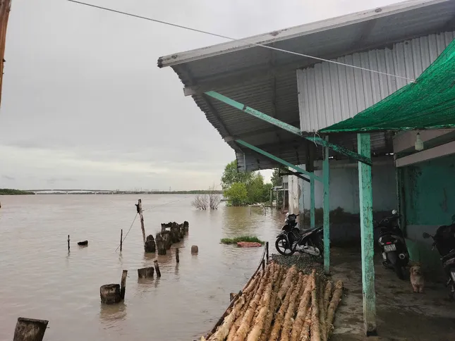 Mùa &apos;chạy lở&apos; nơi con sông duy nhất Việt Nam chảy từ biển Đông sang Tây ảnh 3