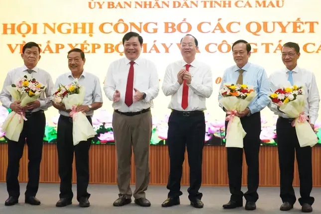 Cà Mau: Hơn 940 trường hợp làm đơn xin nghỉ hưu trước tuổi, nghỉ việc ảnh 1