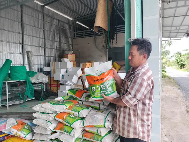 Nông dân &apos;ngậm trái đắng&apos; vì mua phải lúa giống giả nhãn hiệu ảnh 1