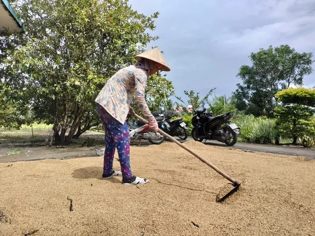 Cà Mau: Hủy quyết định kỷ luật cán bộ do sai căn cứ pháp lý ảnh 1
