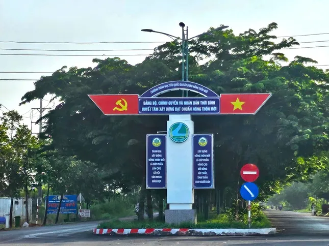 Trộm cắt dây điện trên tuyến đường Hành lang ven biển phía Nam ảnh 1