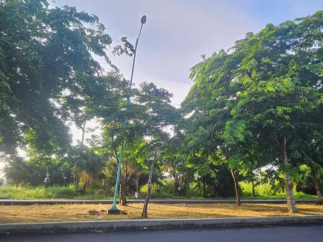 Dây điện đường Xuyên Á bị mất trộm, chủ đầu tư... không còn cấp để kiểm điểm ảnh 1