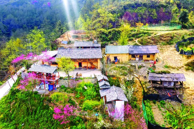 Đừng dại mà đến Hà Giang ảnh 4