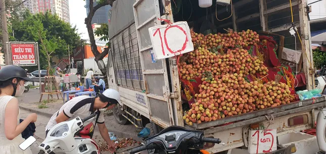Mùa vải chín ảnh 1