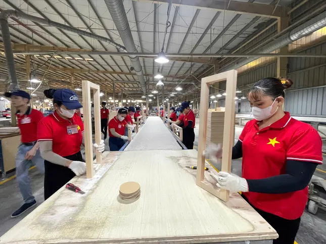 Doanh nghiệp Việt sẵn sàng cho mọi kịch bản  ảnh 1