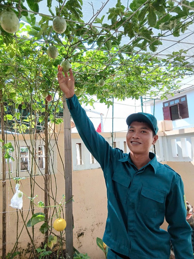 Ở Trường Sa, sách như cây xanh ảnh 4