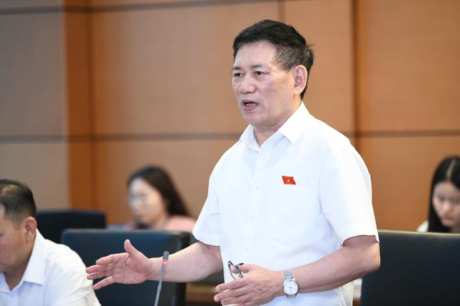Vi phạm nhỏ, doanh nhân có thể được tại ngoại ảnh 1