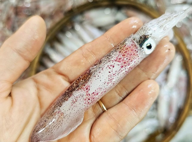 Về phố biển &apos;đu trend&apos; cuốn mực tươi rau muống ảnh 2