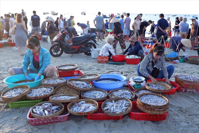 Về phố biển &apos;đu trend&apos; cuốn mực tươi rau muống ảnh 3