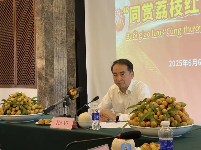 ‘Cùng thưởng thức vải đỏ - Cùng chia sẻ tình đồng chí’ ảnh 1