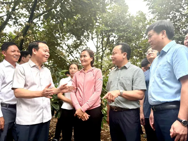 Đại phẫu &apos;vua&apos; trái cây tỷ USD: Chờ sự hóa giải của tư lệnh ngành Nông nghiệp ảnh 1
