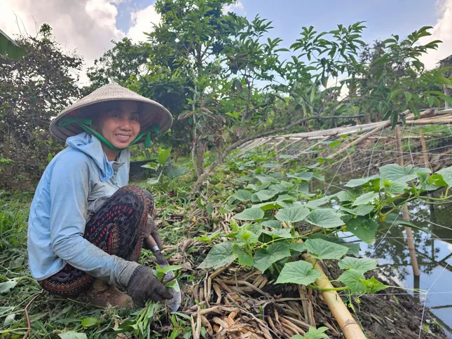 Nổi, chìm văn hoá Cù lao  ảnh 2