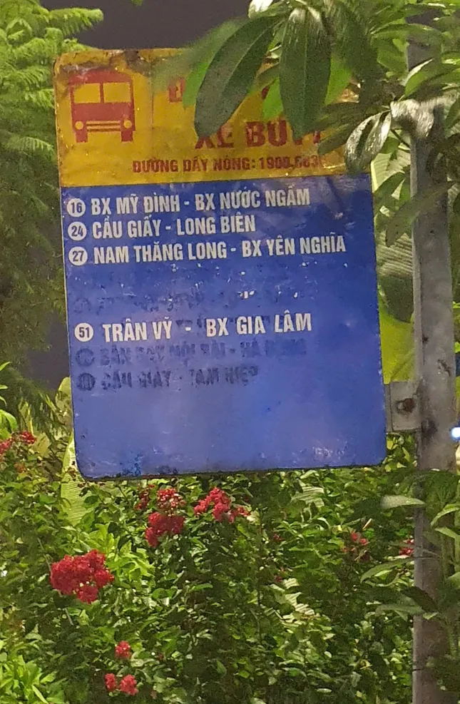 Xe buýt và những kẽo kẹt dịu dàng ảnh 1