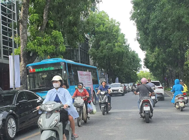 Xe buýt và những kẽo kẹt dịu dàng ảnh 3