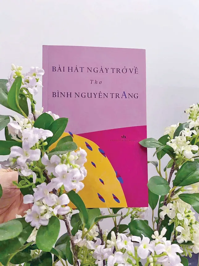Thanh xuân đáng nhớ của Bình Nguyên Trang ảnh 3