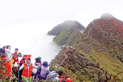 Khi 100 nhà báo tranh tài leo núi ảnh 3