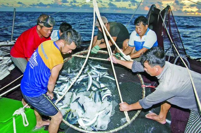 Khi ngư dân làm... báo ảnh 3