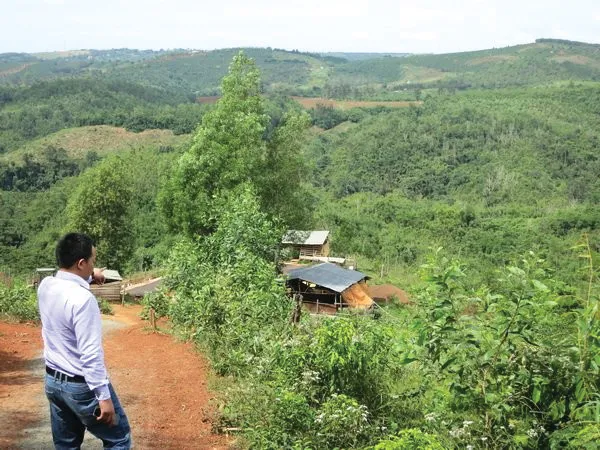 Đi tìm đất rừng 135 thành &apos;vườn nhà cán bộ&apos; ảnh 1