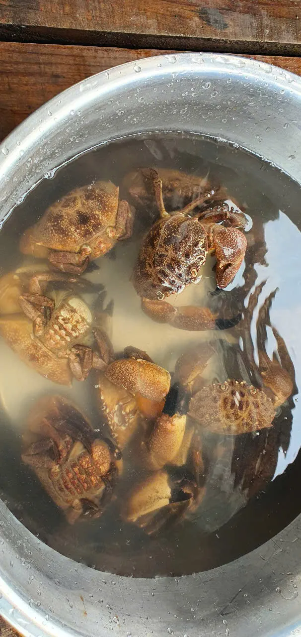 Bữa cù kì với người nuôi biển  ảnh 1