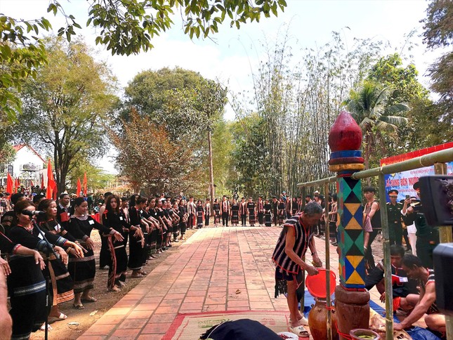 https://image.tienphong.vn/w645/Uploaded/2025/nmasumk-tmzt/2025_02_20/anh-3-617-8600.jpeg