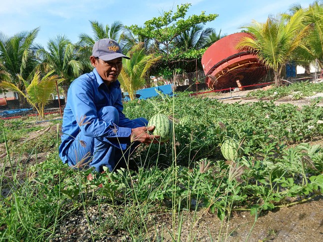 Chuyện &apos;thực túc binh cường&apos; ở Trường Sa ảnh 1