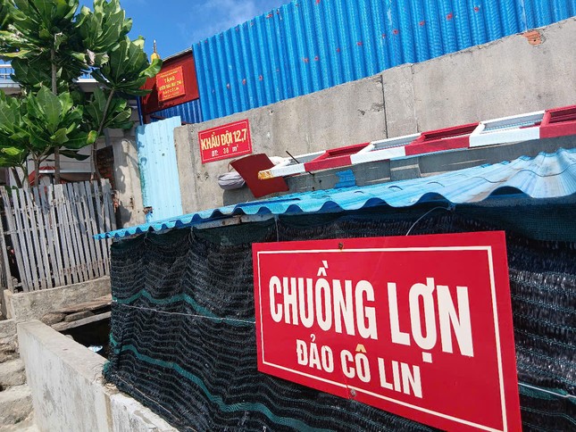 Chuyện &apos;thực túc binh cường&apos; ở Trường Sa ảnh 2