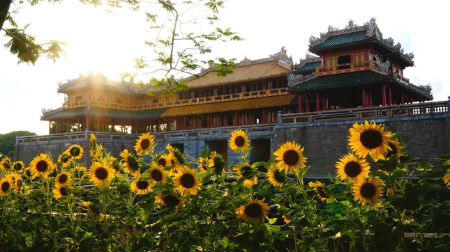 Huế luôn mới - bài 6: Vàng son tìm lại ảnh 2