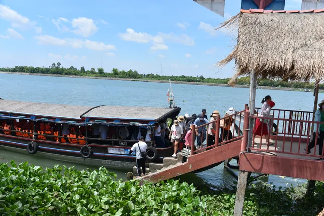 Hai 'viên ngọc quý' giữa 9 cửa sông  ảnh 2