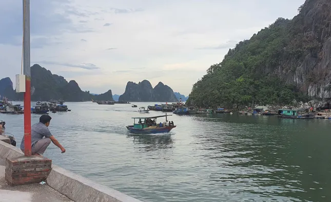 Câu đêm trên Bái Tử Long  ảnh 1