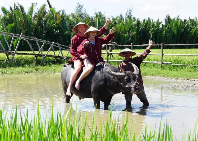 Dắt trâu… làm du lịch ảnh 2