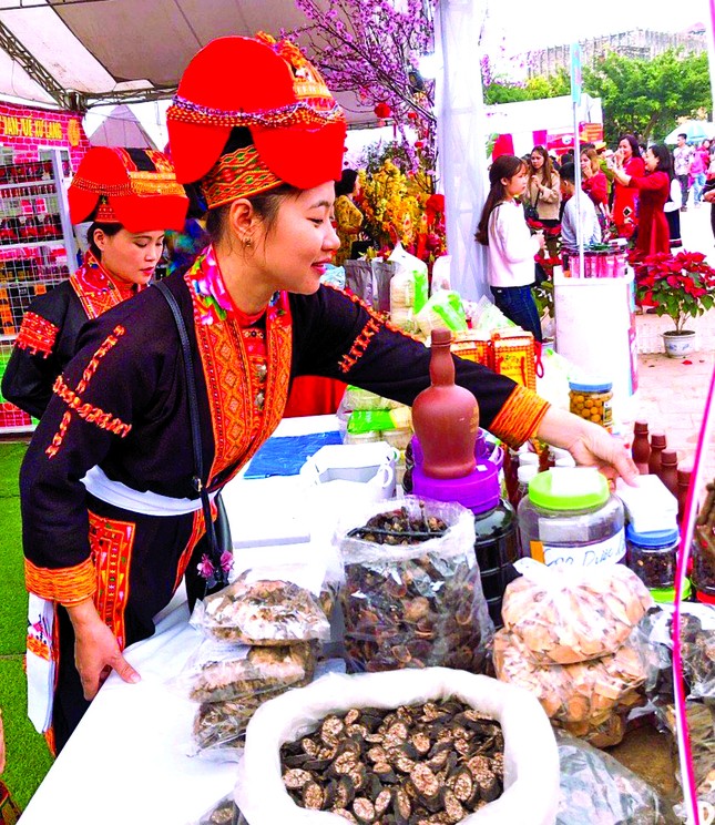 Cô gái tiên phong trồng rừng thông giữ đất, làm kinh tế ảnh 2