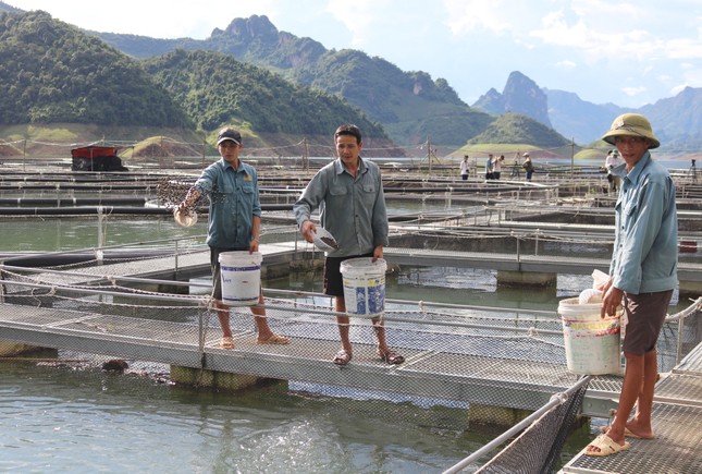 Không còn đói, nghèo mới là lãnh đạo đúng ảnh 1